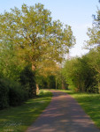Brinkweg